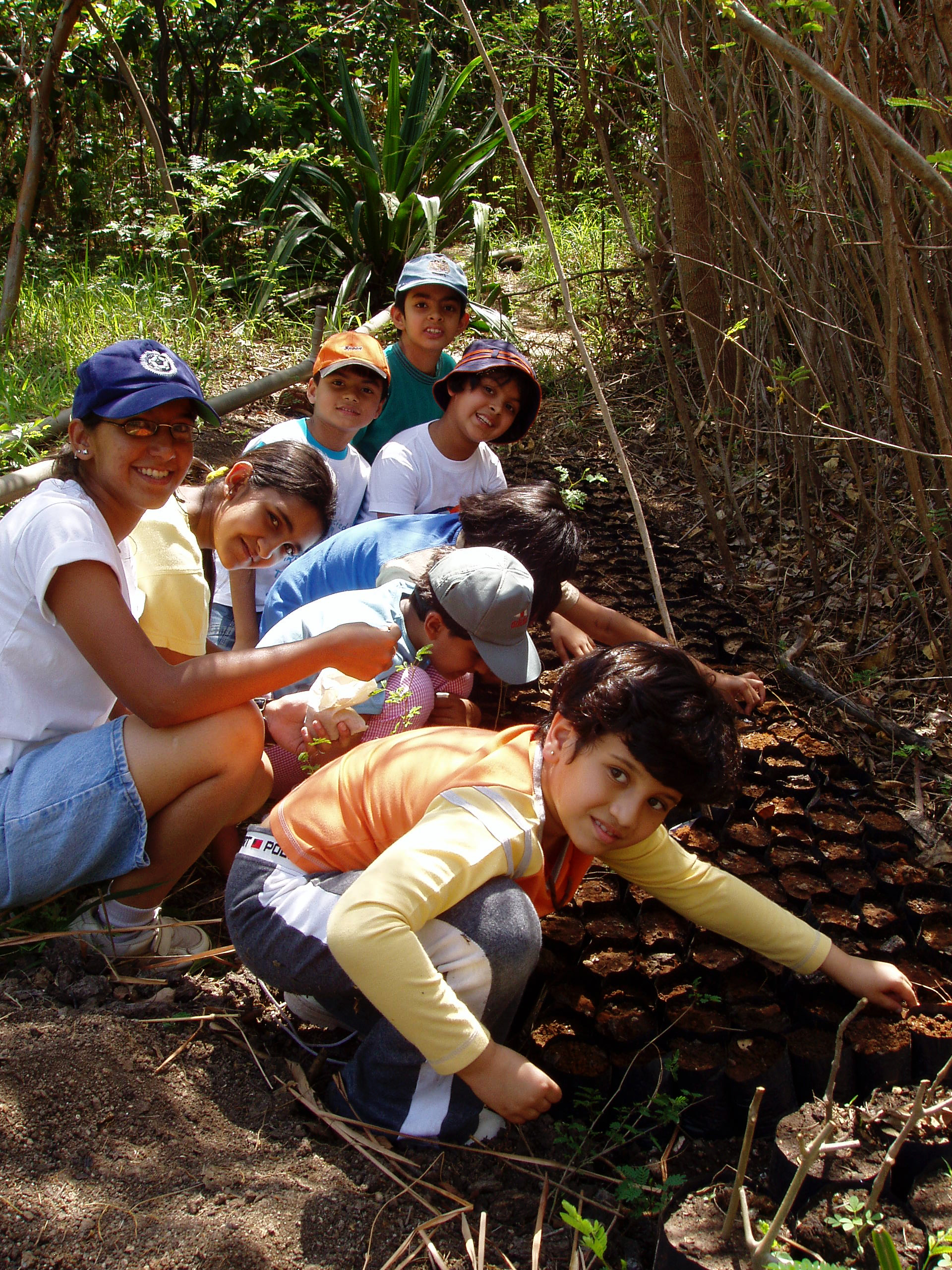 Students planting saplings at a village nursery