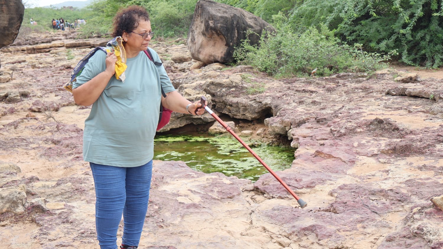 A facilitator pointing out rock pools during a History & Archaeology field walk