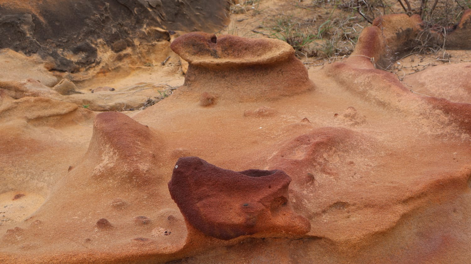 Wind-carved sandstone formations on a History & Archaeology trip