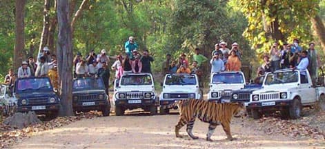 Project Based Trips