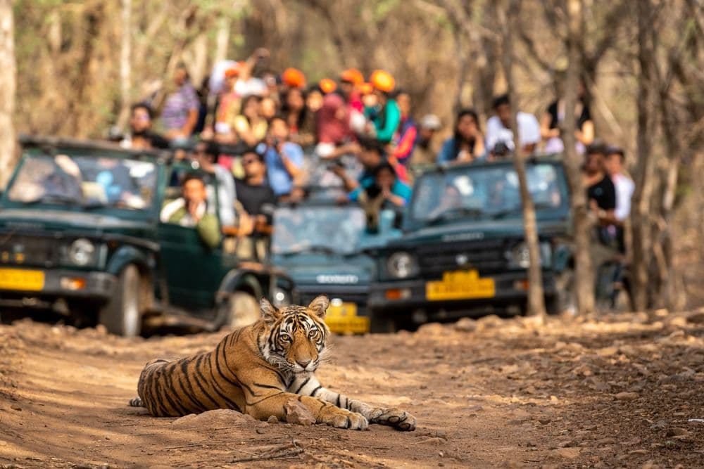 Ecology & Wildlife