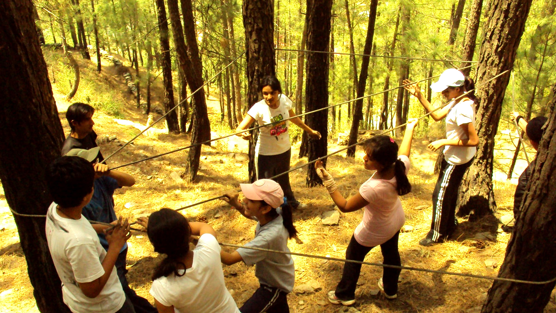 Students on a ropes activity with instructors in the forest